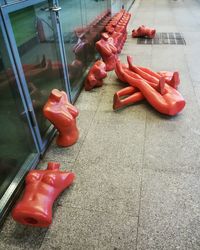 High angle view of red chili peppers on floor