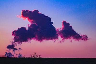 Low angle view of silhouette plant against sky during sunset