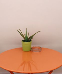 Close-up of potted plant on table against wall