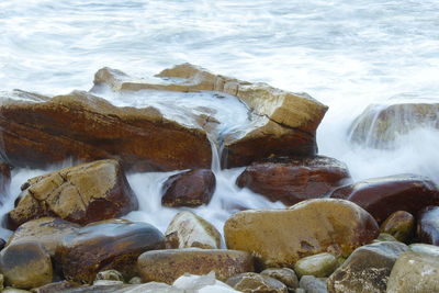 Scenic view of sea waves