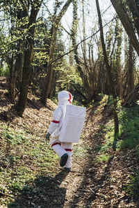 Rear view of person walking on footpath in forest