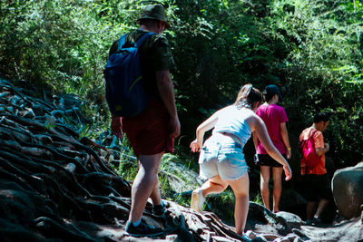 Rear view of people walking in forest