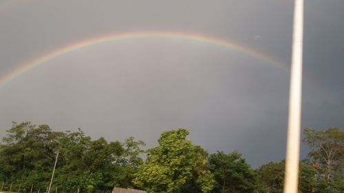 Rainbow over trees against sky