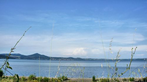 Scenic view of sea against blue sky