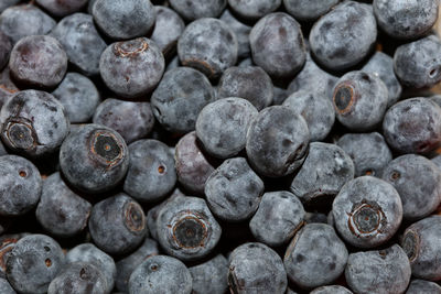 Full frame shot of blueberries