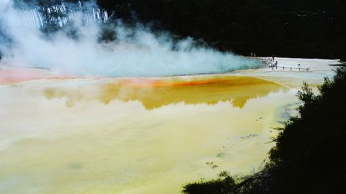 View of geyser in rotorua