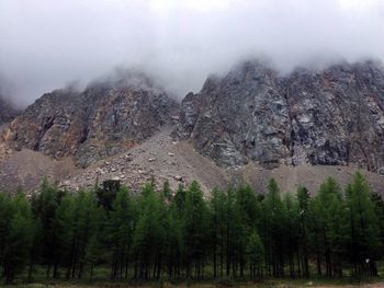 Trees on mountain against sky