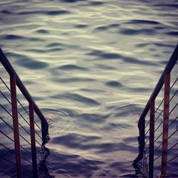 Reflection of trees in water