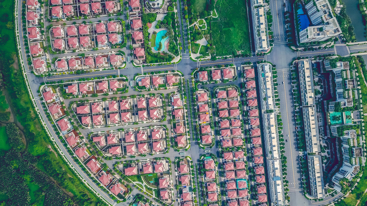 HIGH ANGLE VIEW OF GREEN PLANTS