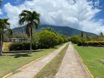 Road amidst plants and trees against sky