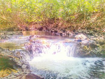 River flowing through rocks