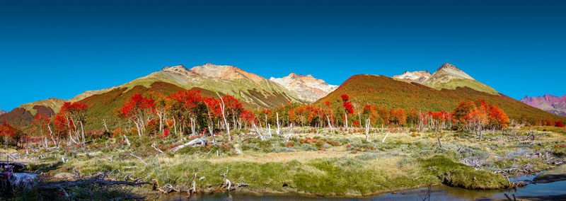 Scenic view of mountains against clear blue sky