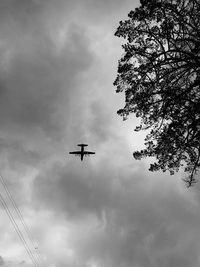 Low angle view of airplane flying against sky