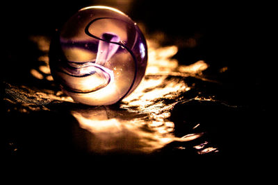 Close-up of night
