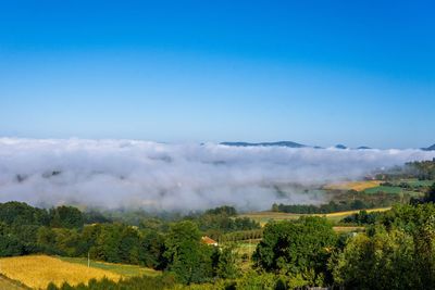 Scenic view of landscape against blue sky