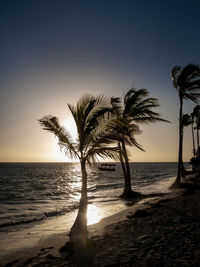 Palm trees on beach against sky during sunset