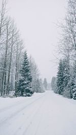 Road amidst bare trees against clear sky during winter