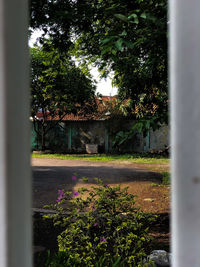 Flowering plants and trees seen through glass window of building