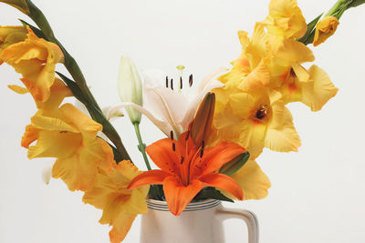 Close-up of yellow flowers in vase