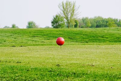 Red ball on field