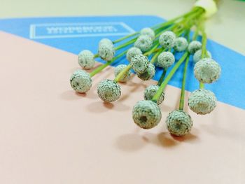 High angle view of eggs on table