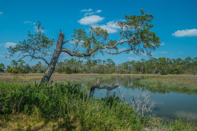 Scenic view of lake against sky