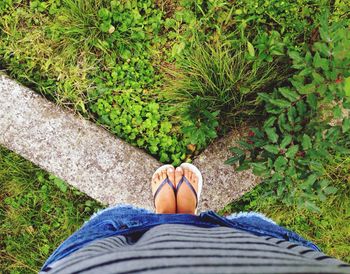 Low section of woman relaxing on grass