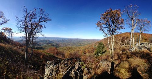 Scenic view of landscape against sky during autumn