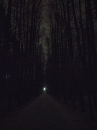 Scenic view of silhouette forest against sky at night