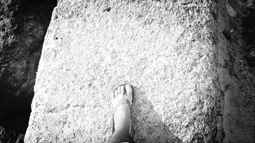 Low section of woman standing in water