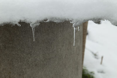 Close-up of icicles on roof during winter