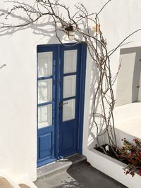 architecture
