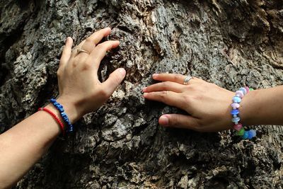 Close-up of tree trunk