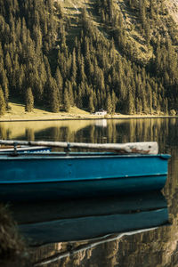 Scenic view of lake in forest