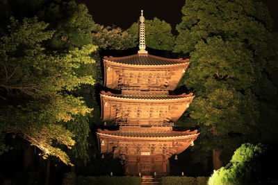 View of temple building at night