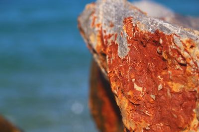 Close-up of rusty metal on rock