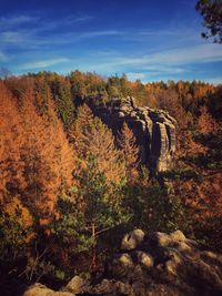 Scenic view of trees against sky during autumn