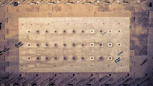 Birds on wall