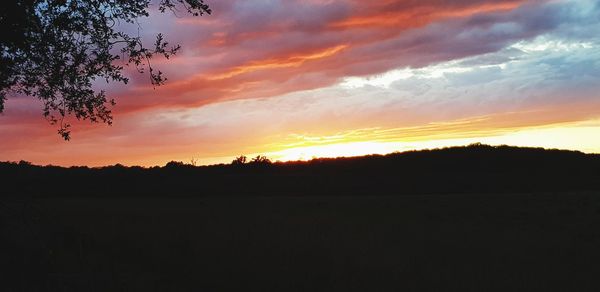 Silhouette trees on field against sky during sunset