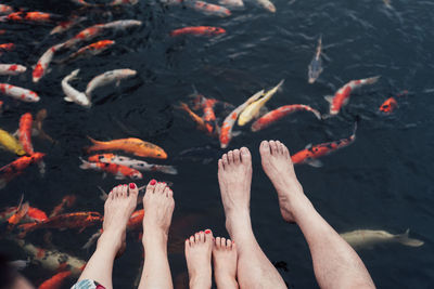 Low section of woman amidst koi carps swimming in lake