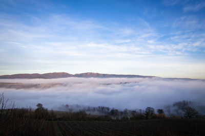 Scenic view of landscape against sky