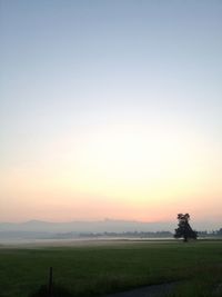 Scenic view of field against clear sky at sunset