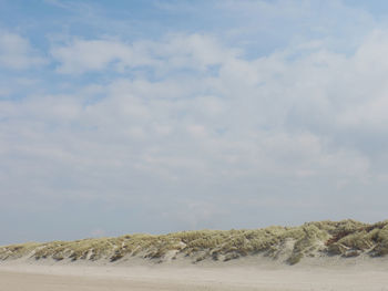 Grass on sand at beach against cloudy sky