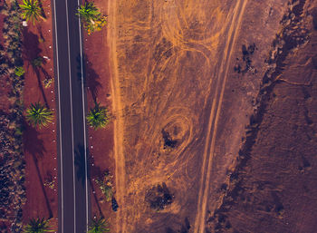 High angle view of road amidst trees