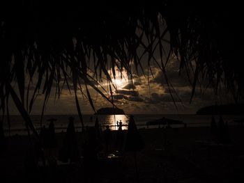 Silhouette of trees at beach during sunset