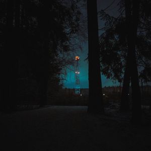 Silhouette trees on field against sky at night