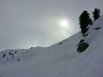 Low angle view of snow covered trees