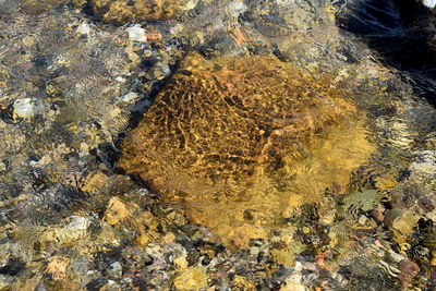 High angle view of rocks in water