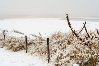 Scenic view of snow covered field against sky