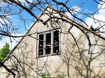 Low angle view of abandoned house against bare tree